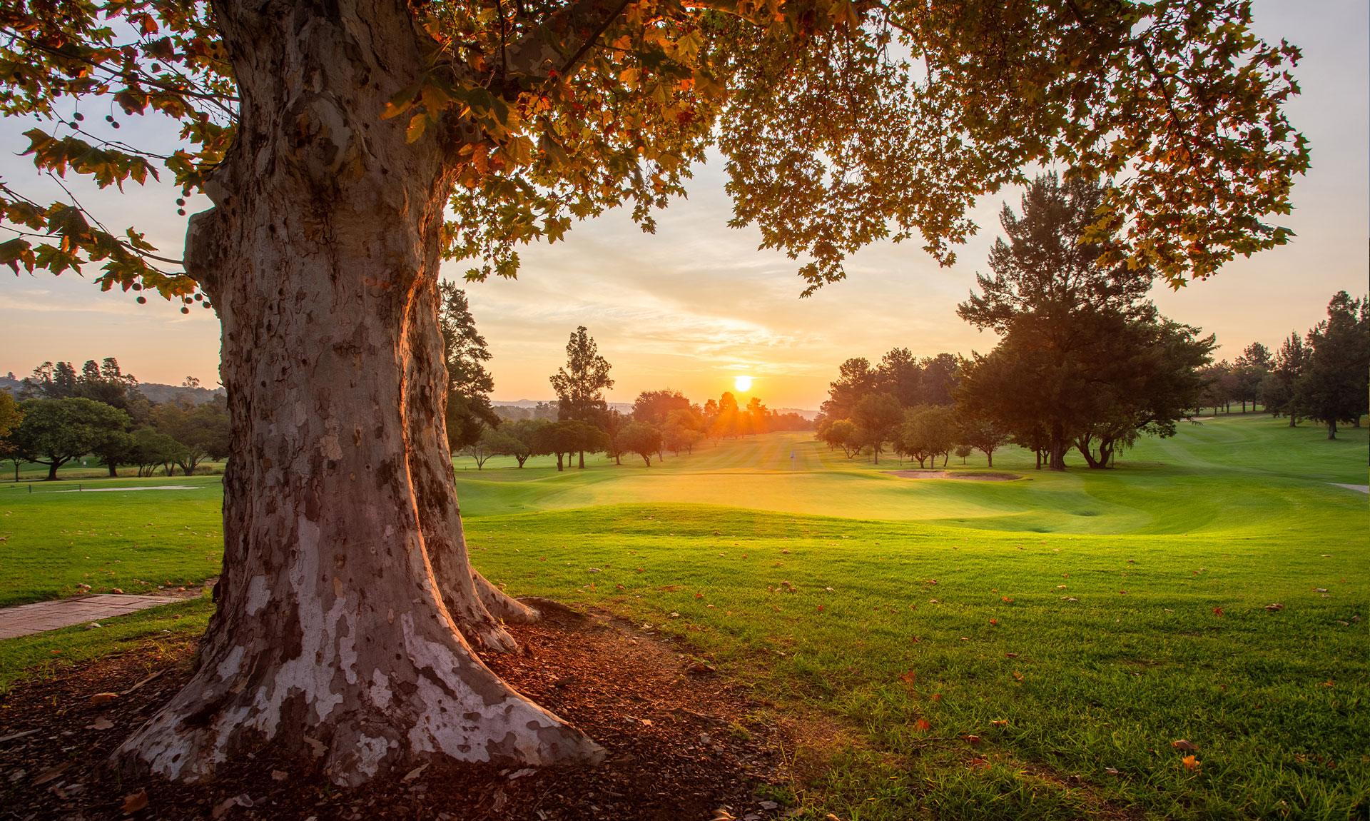 Bryanston Country Club at sunrise